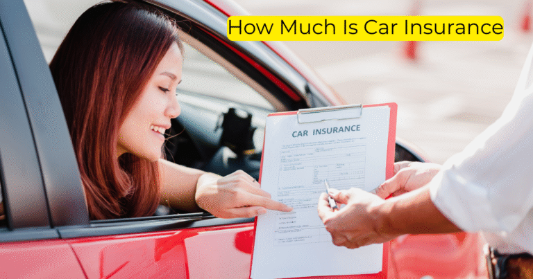 How Much Is Car Insurance